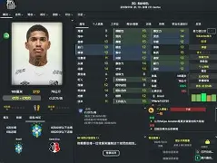 九州体育-里尔中场巴拉托雷受伤将缺席巴黎对决的简单介绍